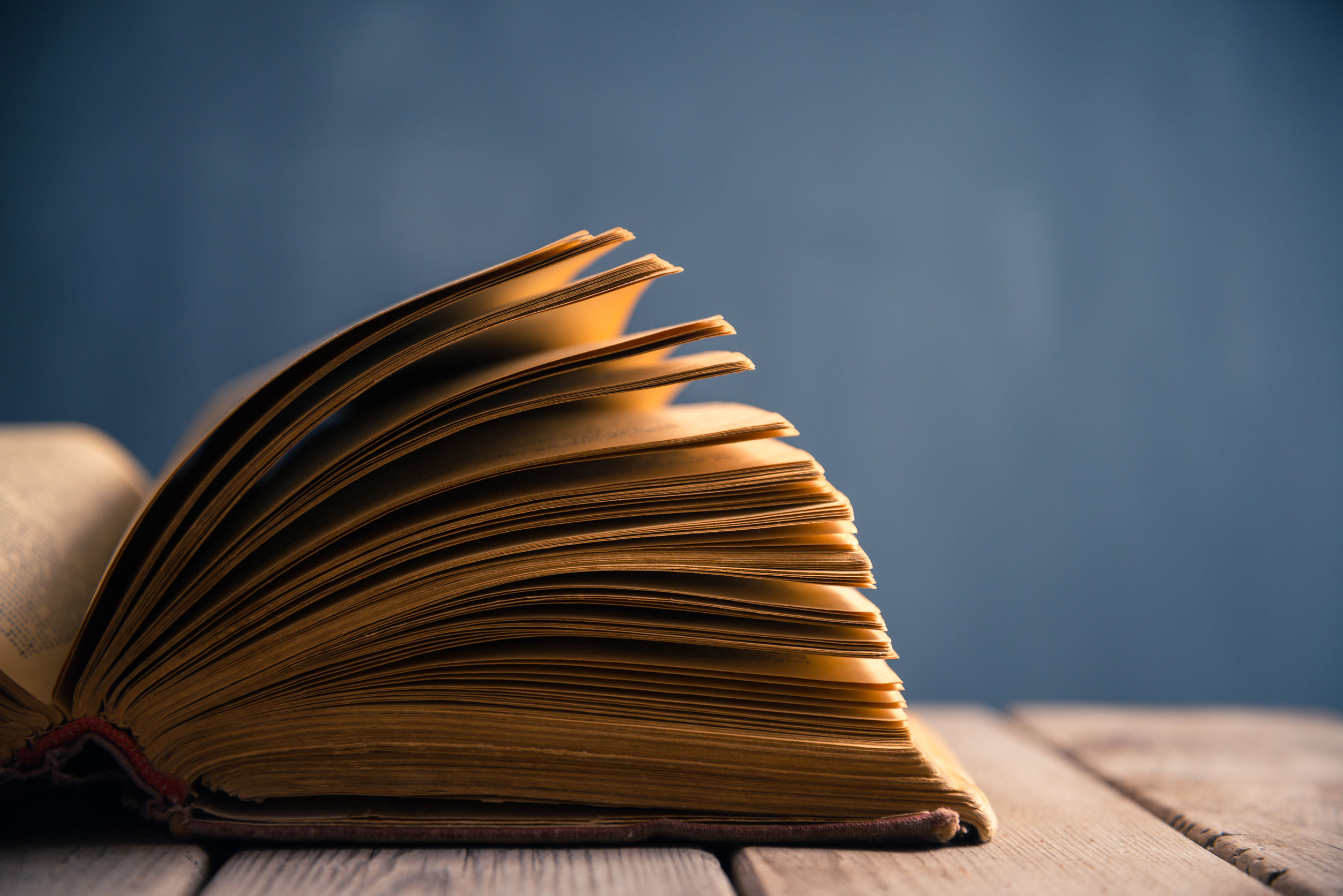 Open book close-up on a background of school board -brand