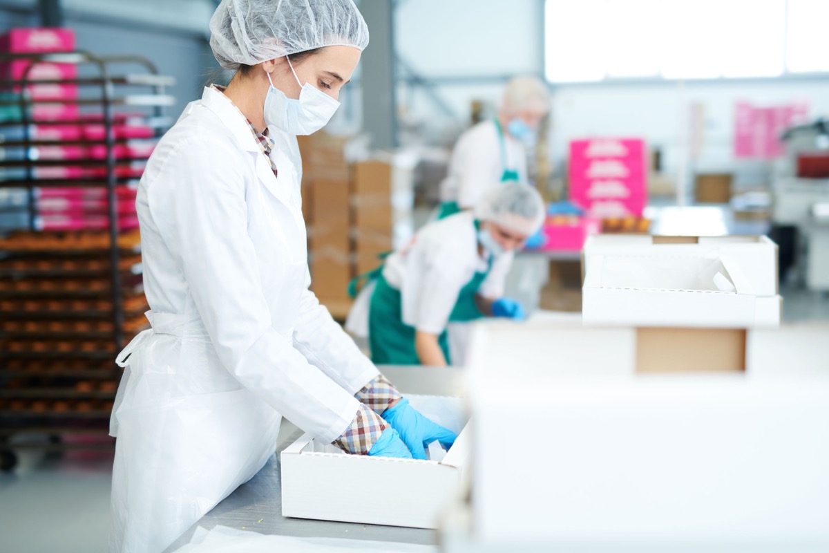 Side view of confectionery factory employee in white coat putting baking parchment into a box; protect workers concept.