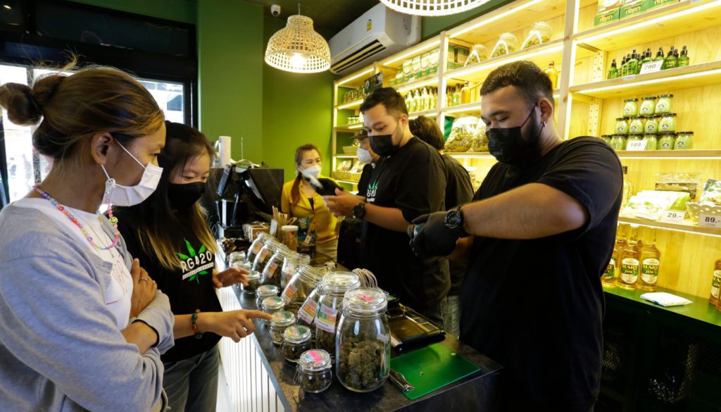 Workers prepare cannabis next to containers of marijuana flower buds; cannabis industry workers concept